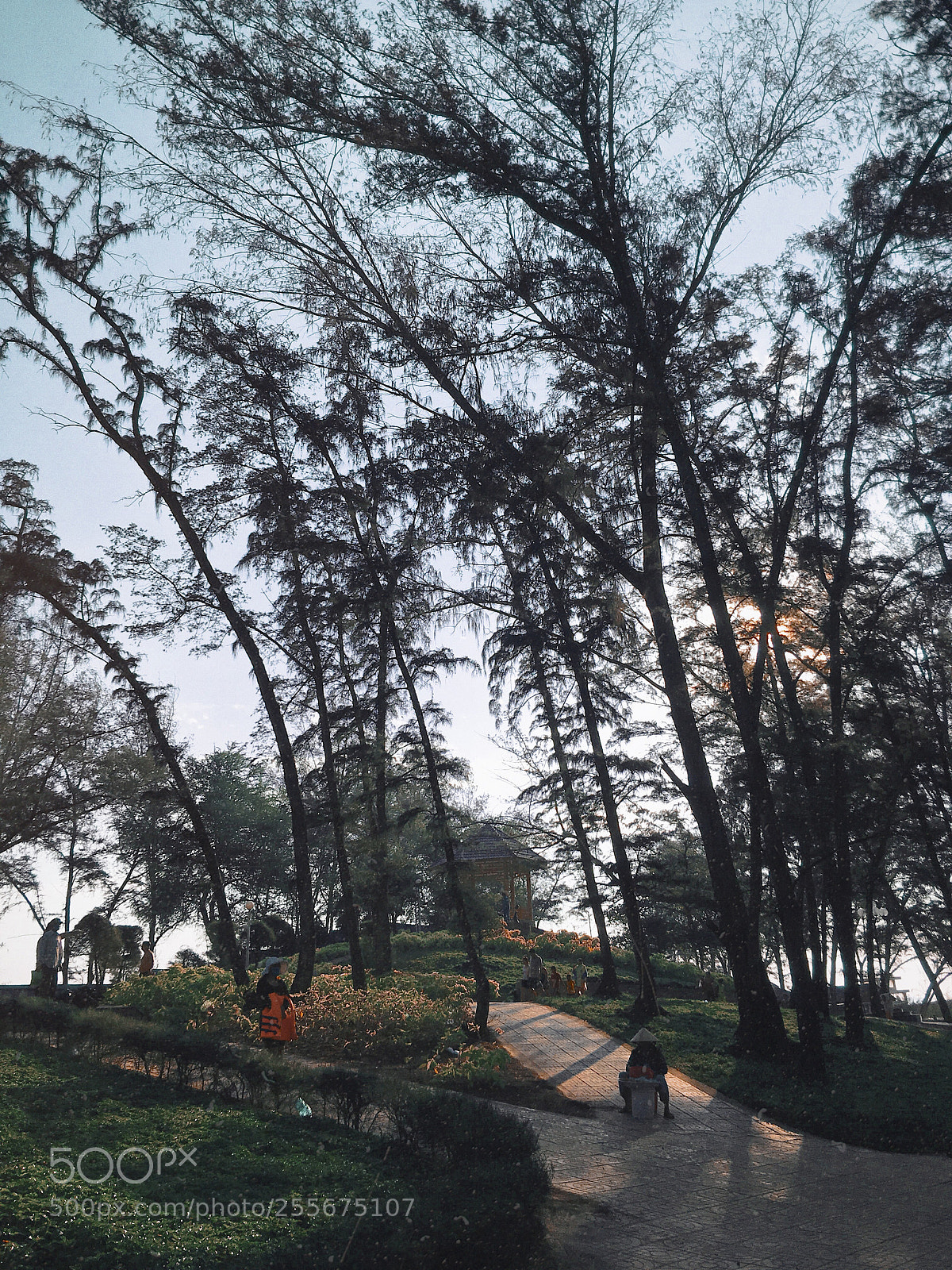 Apple iPhone 6s Plus sample photo. Doi duong beach, phan photography