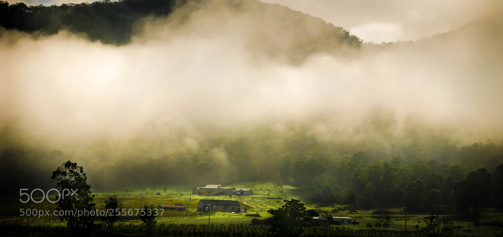 Nikon D5100 sample photo. Mist over the valley photography