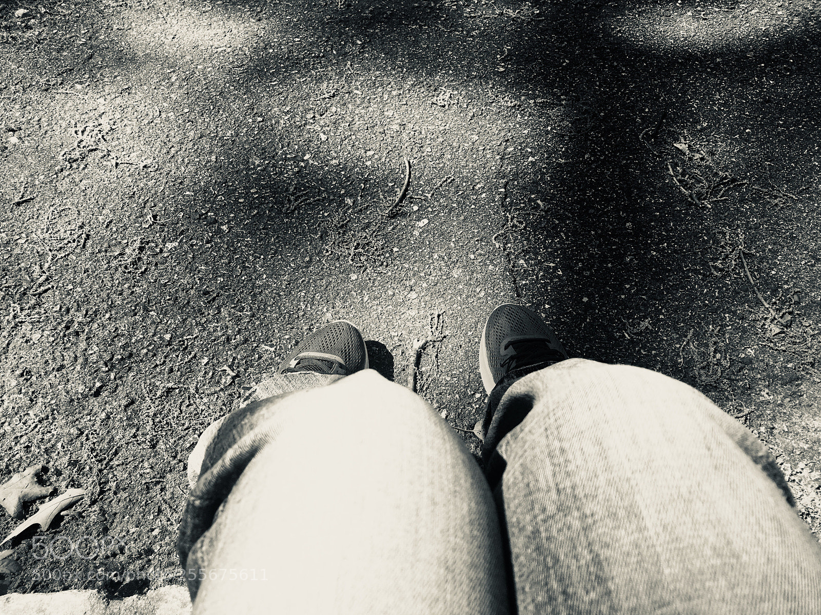 Apple iPhone 6s sample photo. Untitled photography
