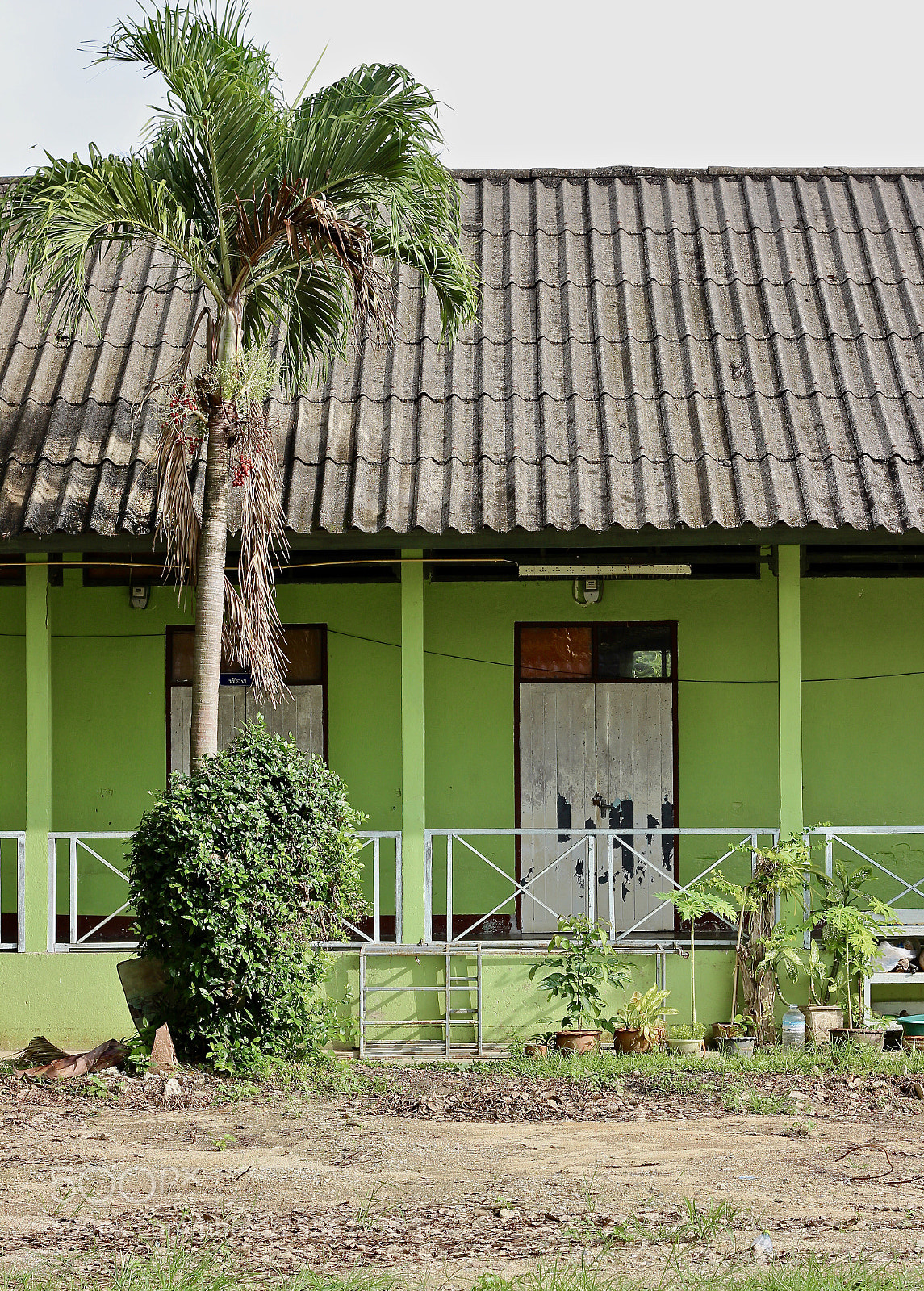 Canon EOS 700D (EOS Rebel T5i / EOS Kiss X7i) sample photo. Green lover photography