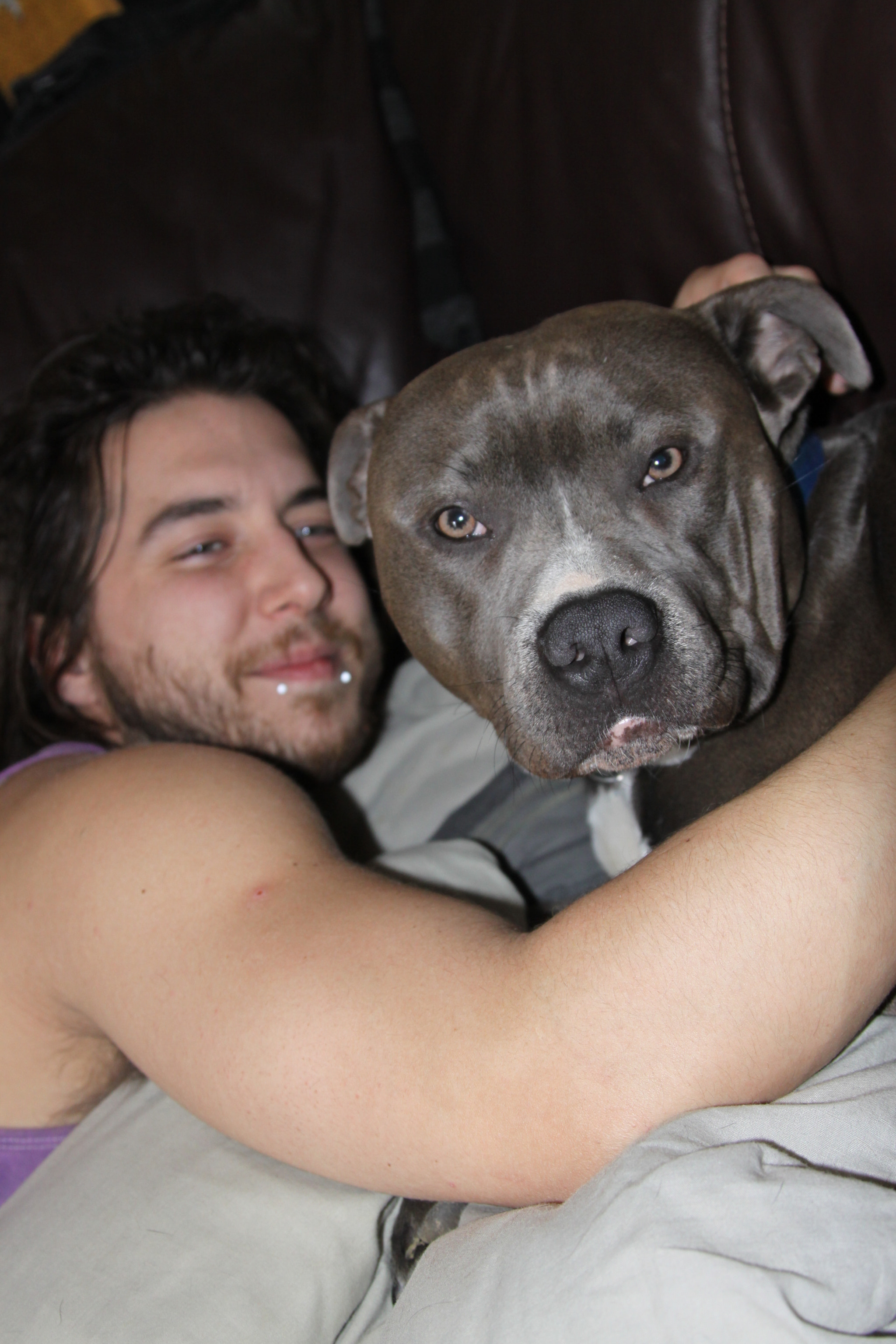 Canon EOS 50D + Canon EF 24-105mm F4L IS USM sample photo. Pitbull photography