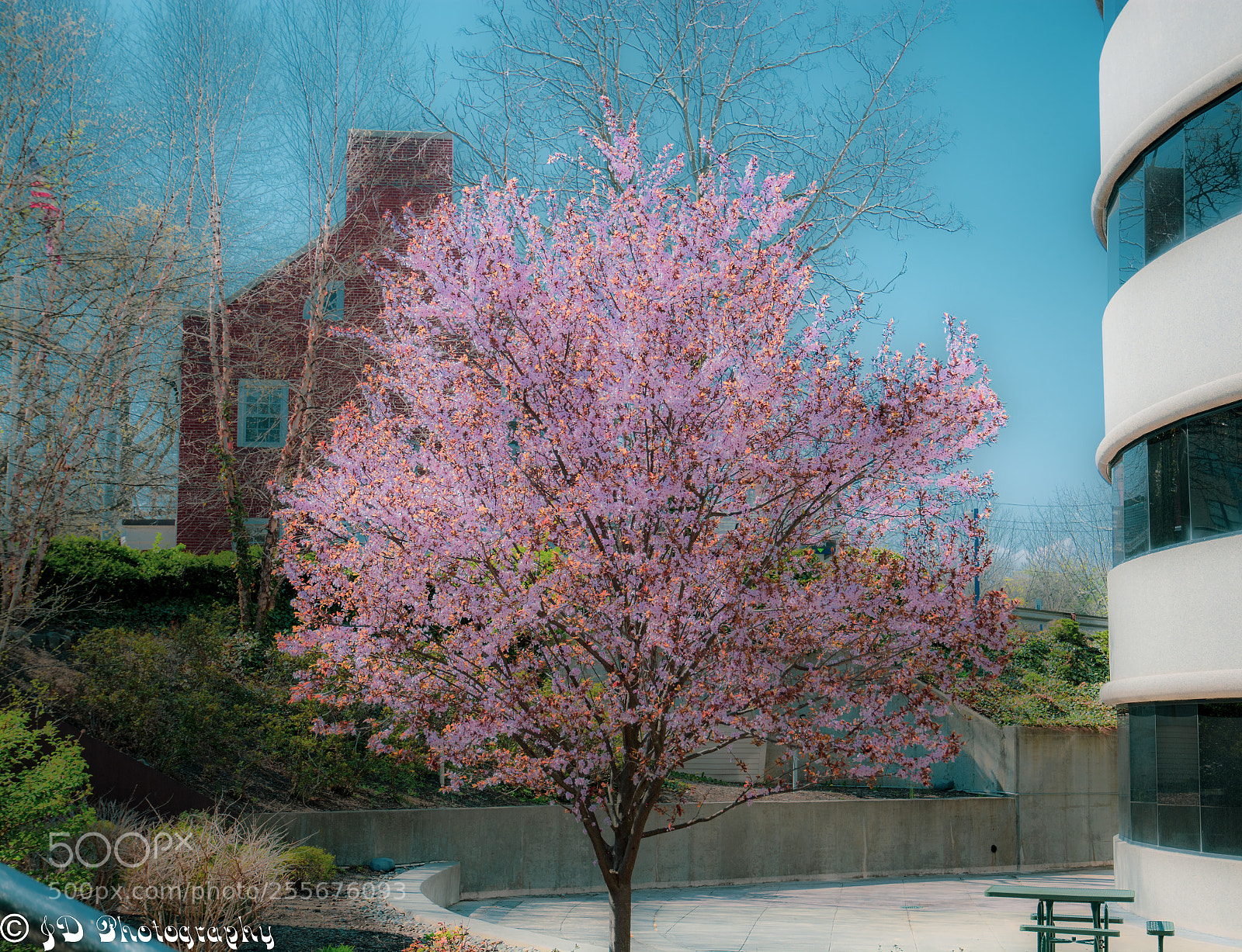 Nikon D7100 sample photo. No clarity photography