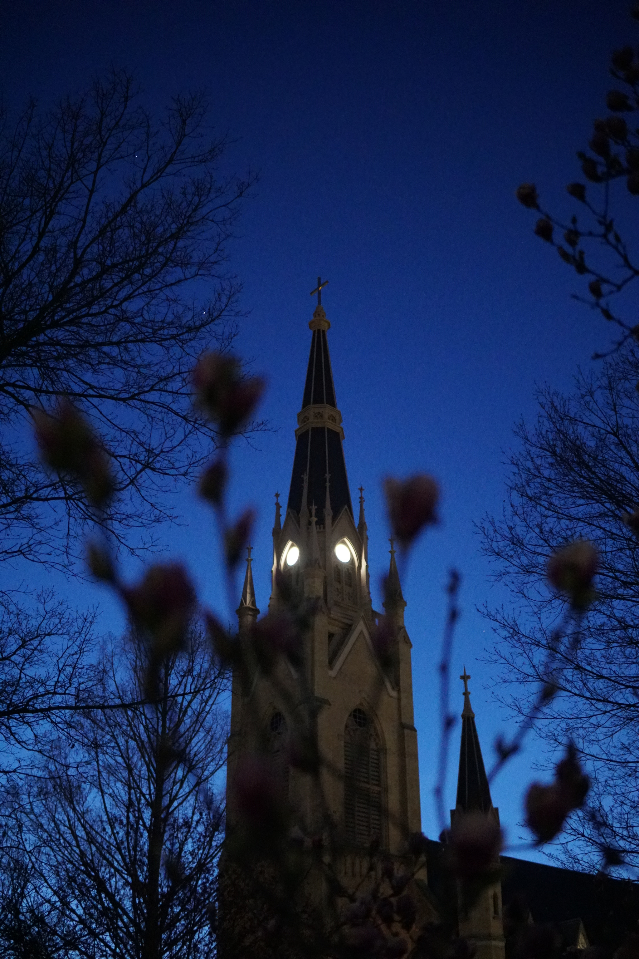 Sony a6500 + Sigma 30mm F1.4 DC DN | C sample photo. Dsc photography