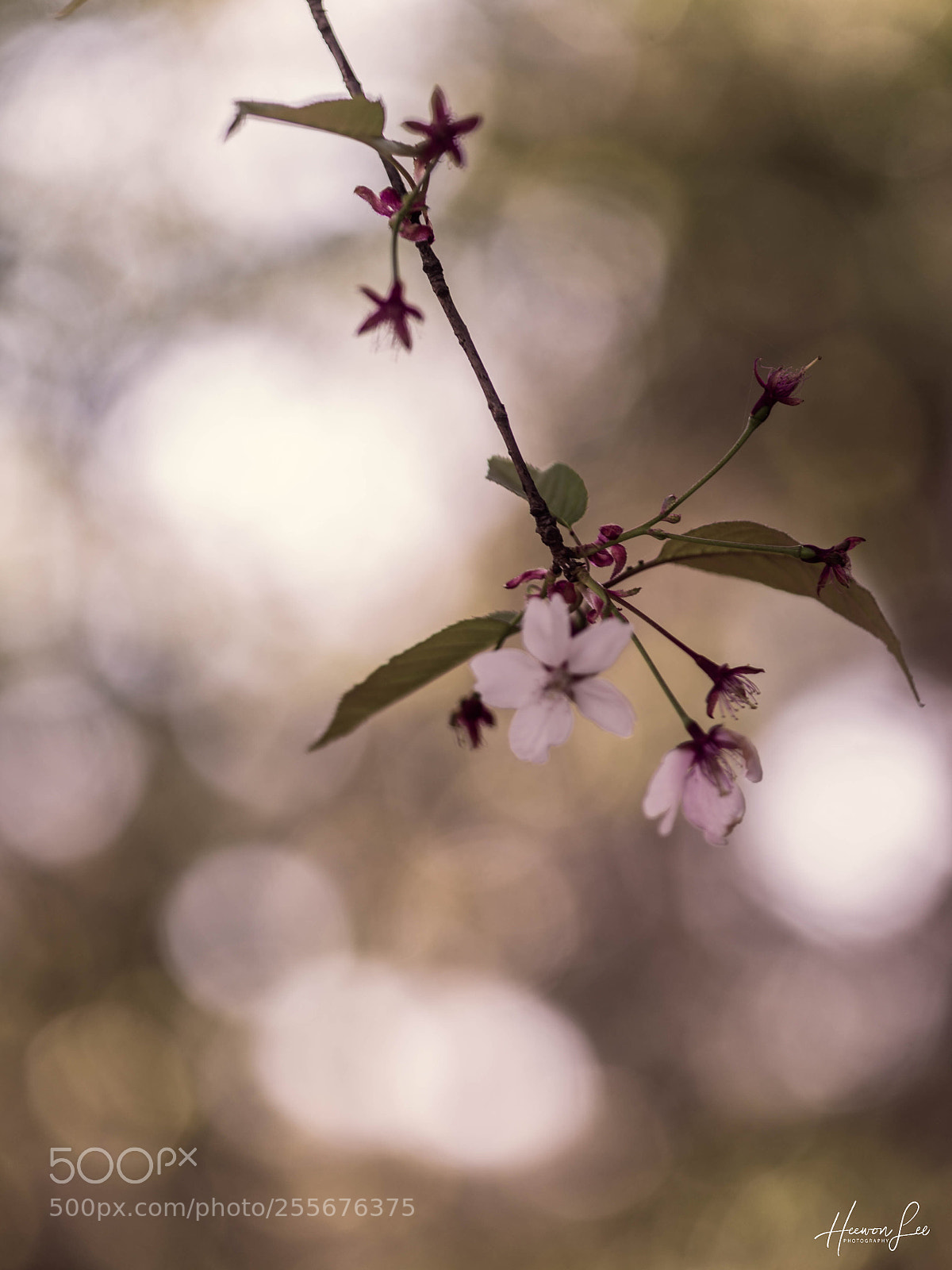Canon EOS 6D sample photo. ɛռɖɨռɢ... photography