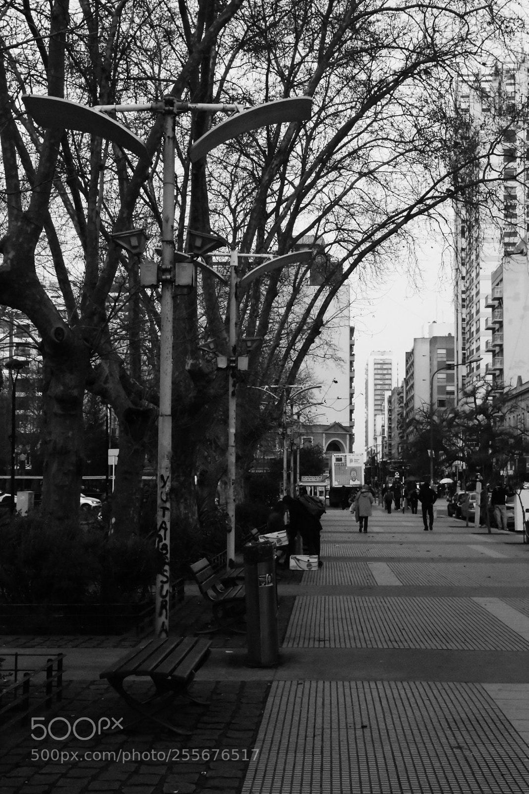 Nikon D5500 sample photo. Walk photography