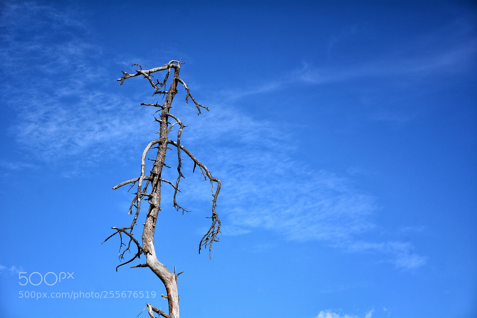 Nikon D7100 sample photo. Untitled photography