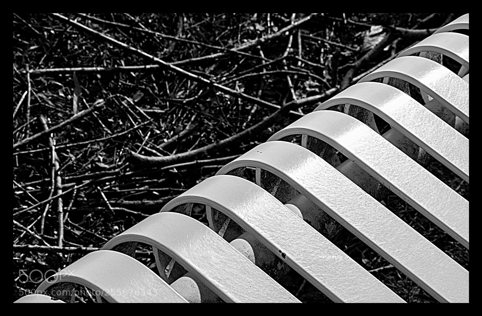 Nikon D3300 sample photo. Nature versus the machine photography