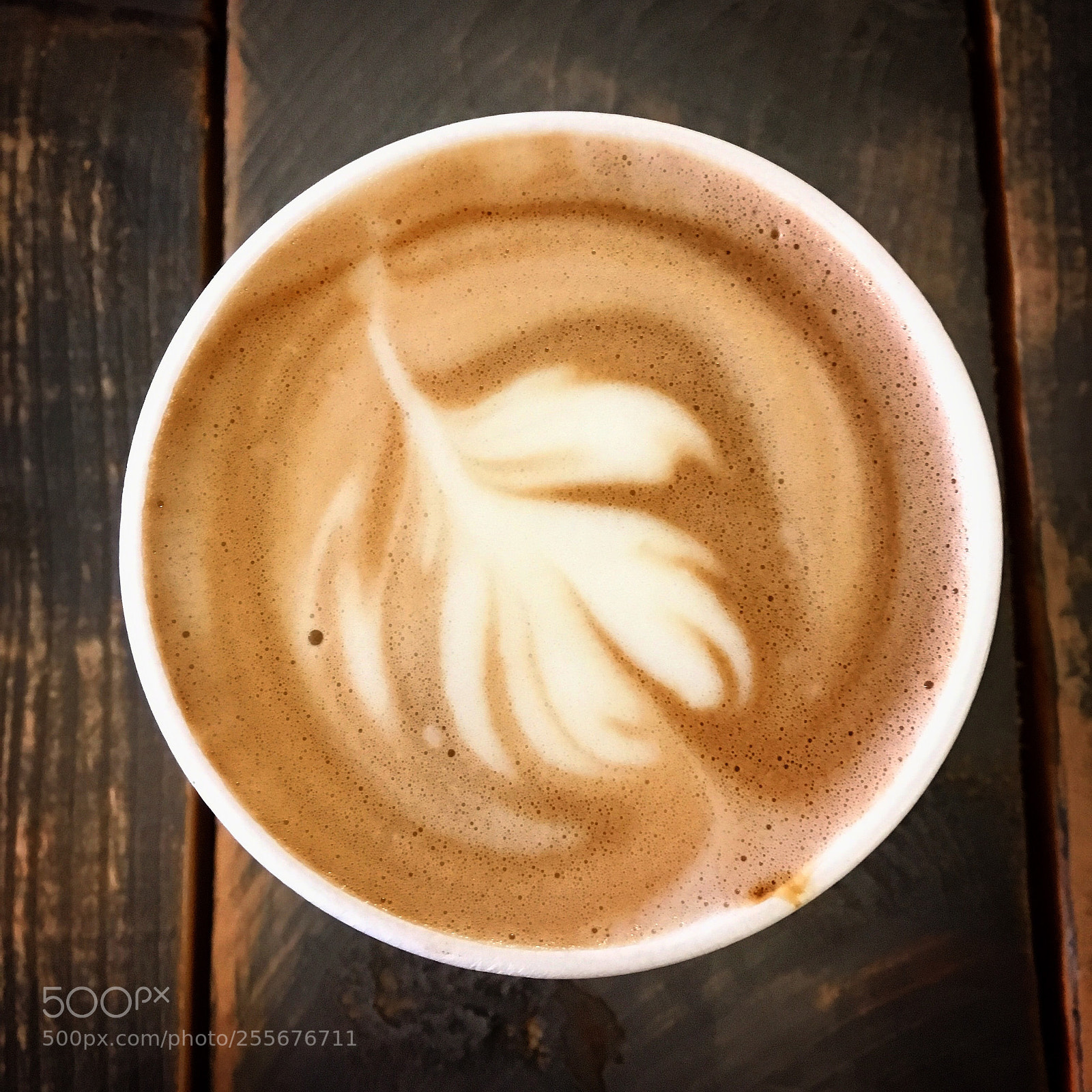 Apple iPhone SE sample photo. Cups photography
