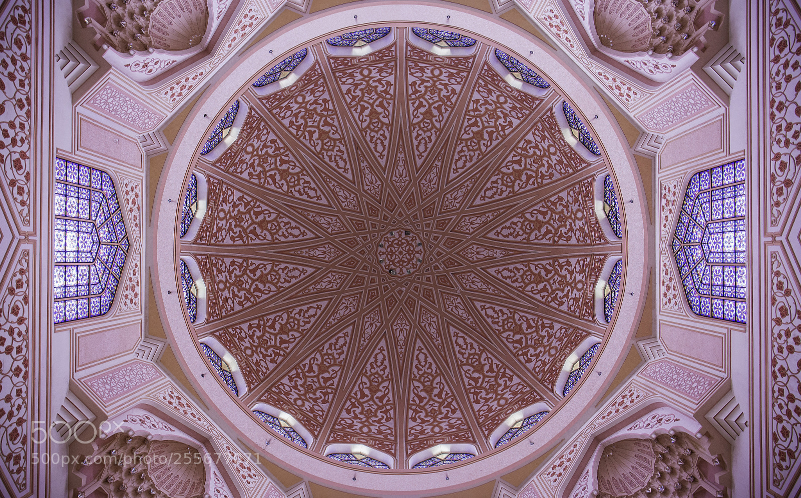 Canon EOS 6D sample photo. Pink dome of masjid photography