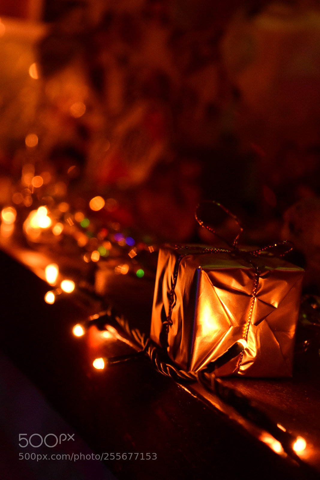 Nikon D5500 sample photo. Christmas photography