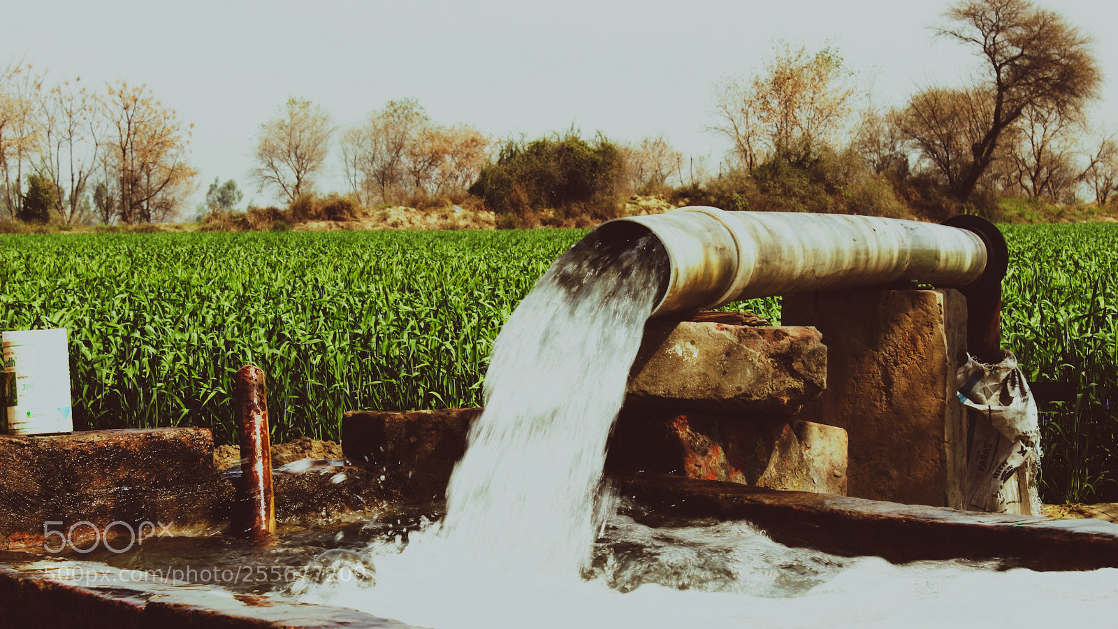 Canon EOS 600D (Rebel EOS T3i / EOS Kiss X5) sample photo. Farm tubewell photography