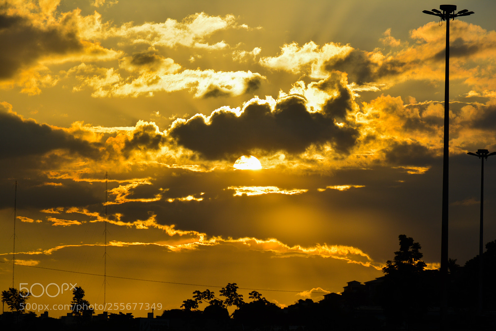 Nikon D5200 sample photo. Untitled photography