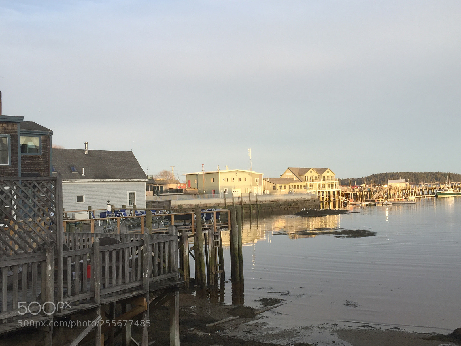 Apple iPhone 6 sample photo. Beautiful island in maine photography