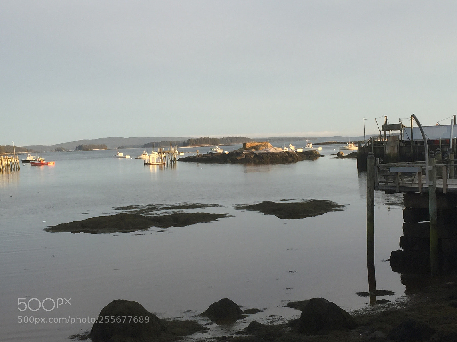 Apple iPhone 6 sample photo. Small maine island photography