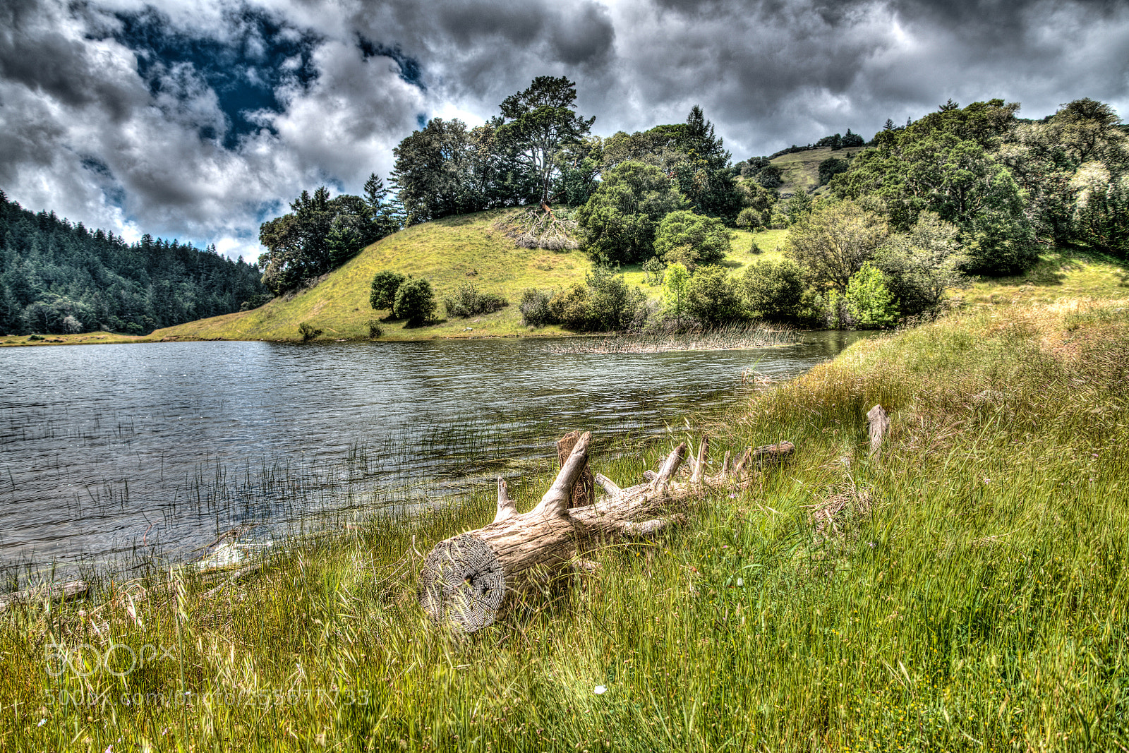 Nikon D850 sample photo. Lake lagunitas photography