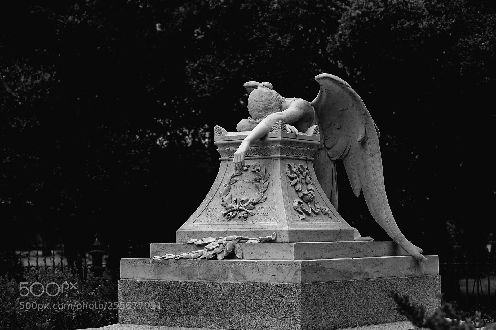 Canon EOS 5D Mark IV sample photo. Angel sculpture photography