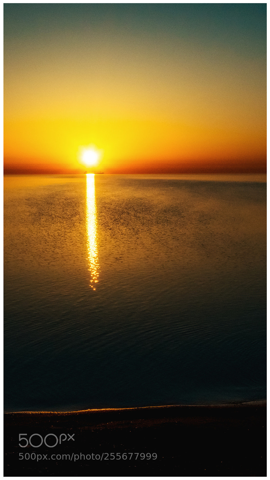 Sony a7R III sample photo. Untitled photography