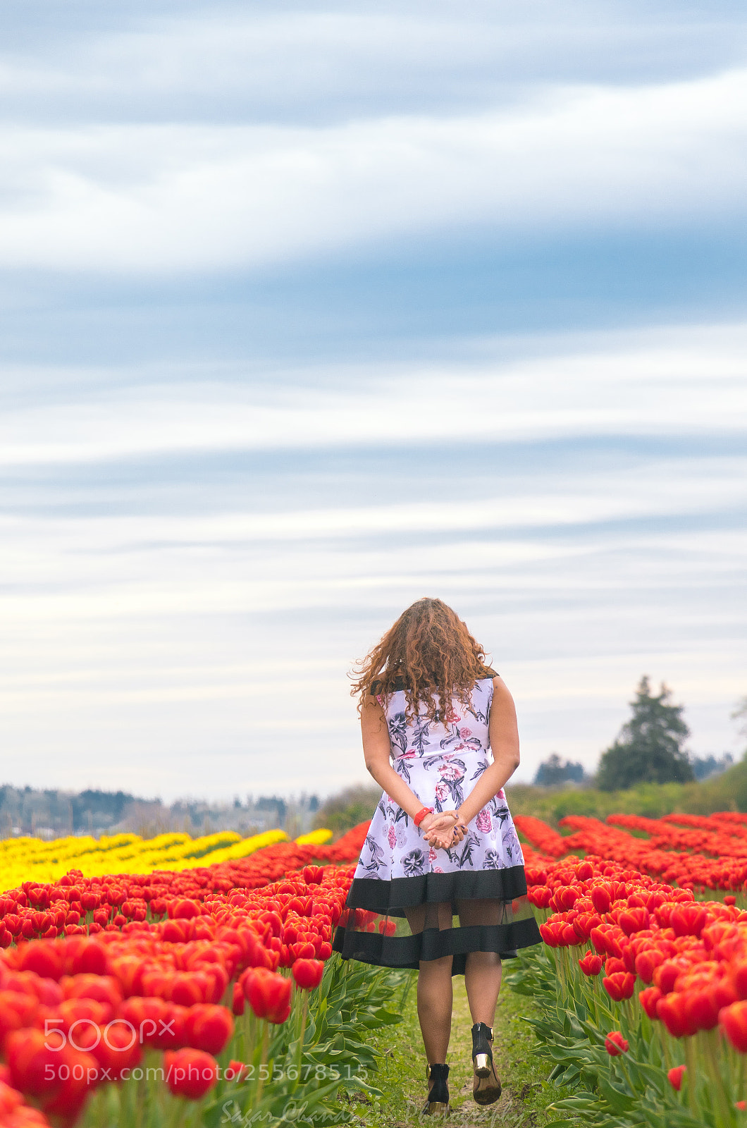 Canon EOS 7D Mark II sample photo. Lost in tulips photography