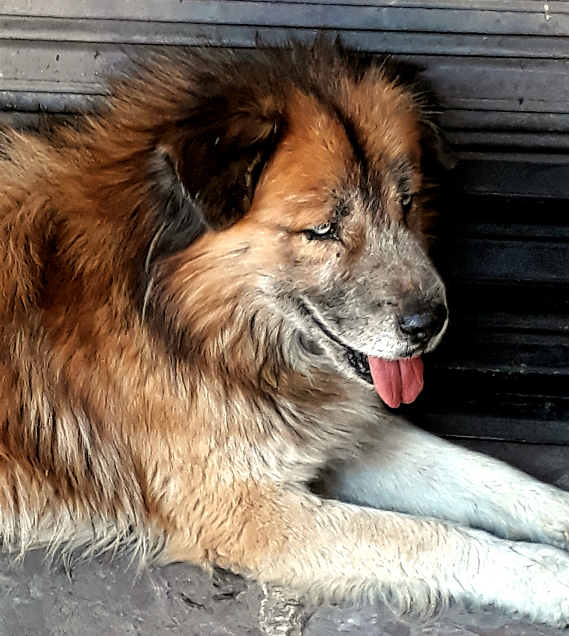 Samsung Galaxy J7 Prime sample photo. The most beautiful photography