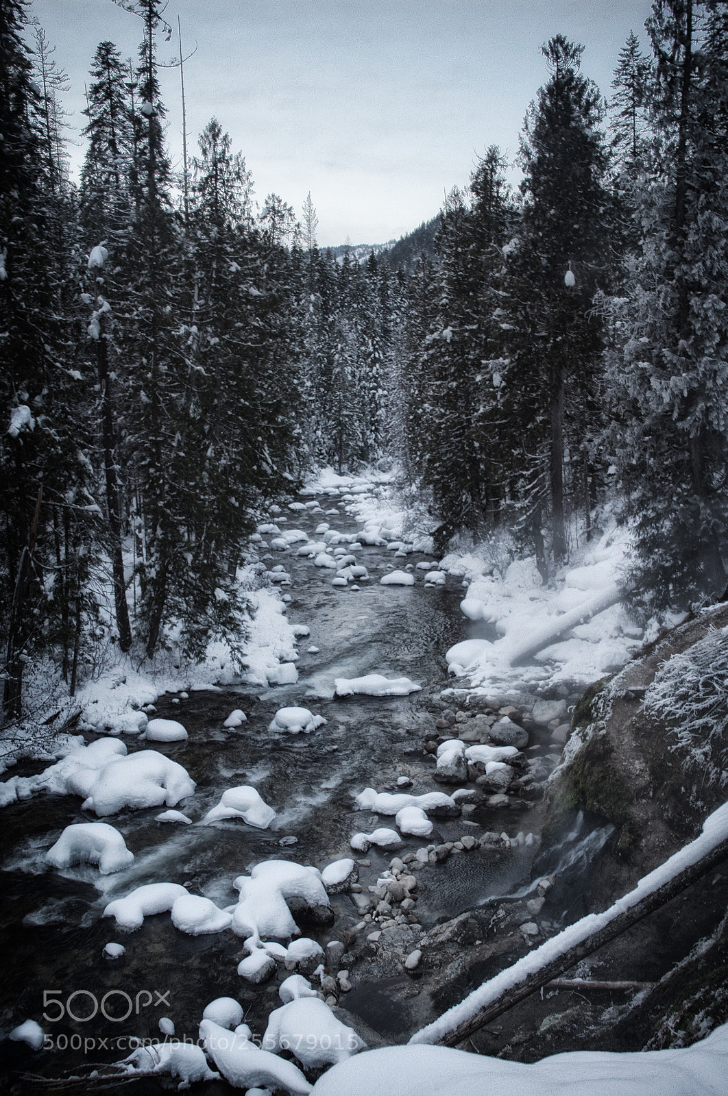 Sony a7S sample photo. Hot spring snow photography