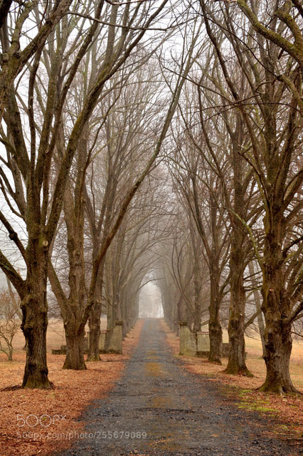 Nikon D700 sample photo. Road to nowhere photography