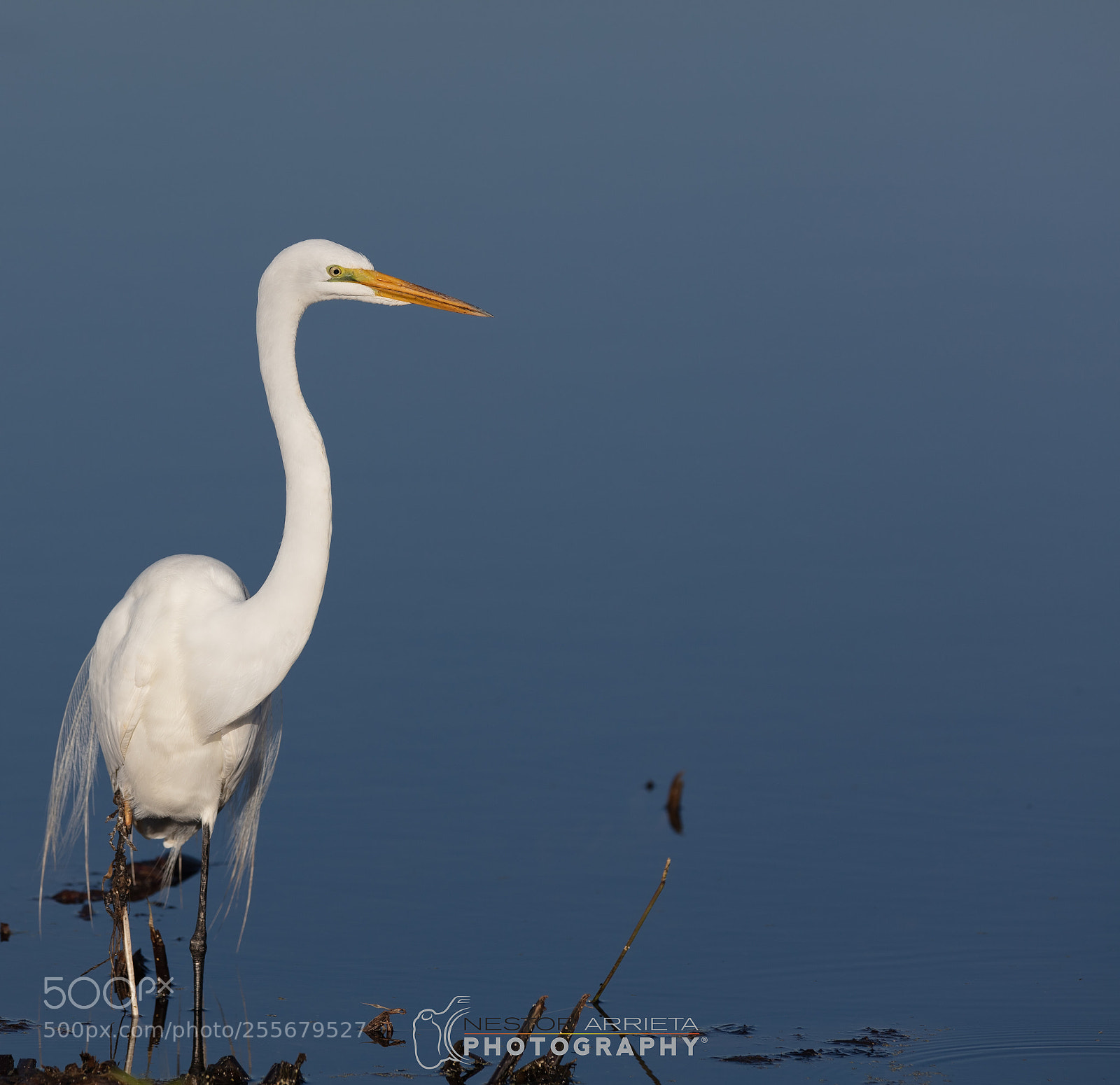 Canon EOS 5DS R sample photo. Paradise lost photography