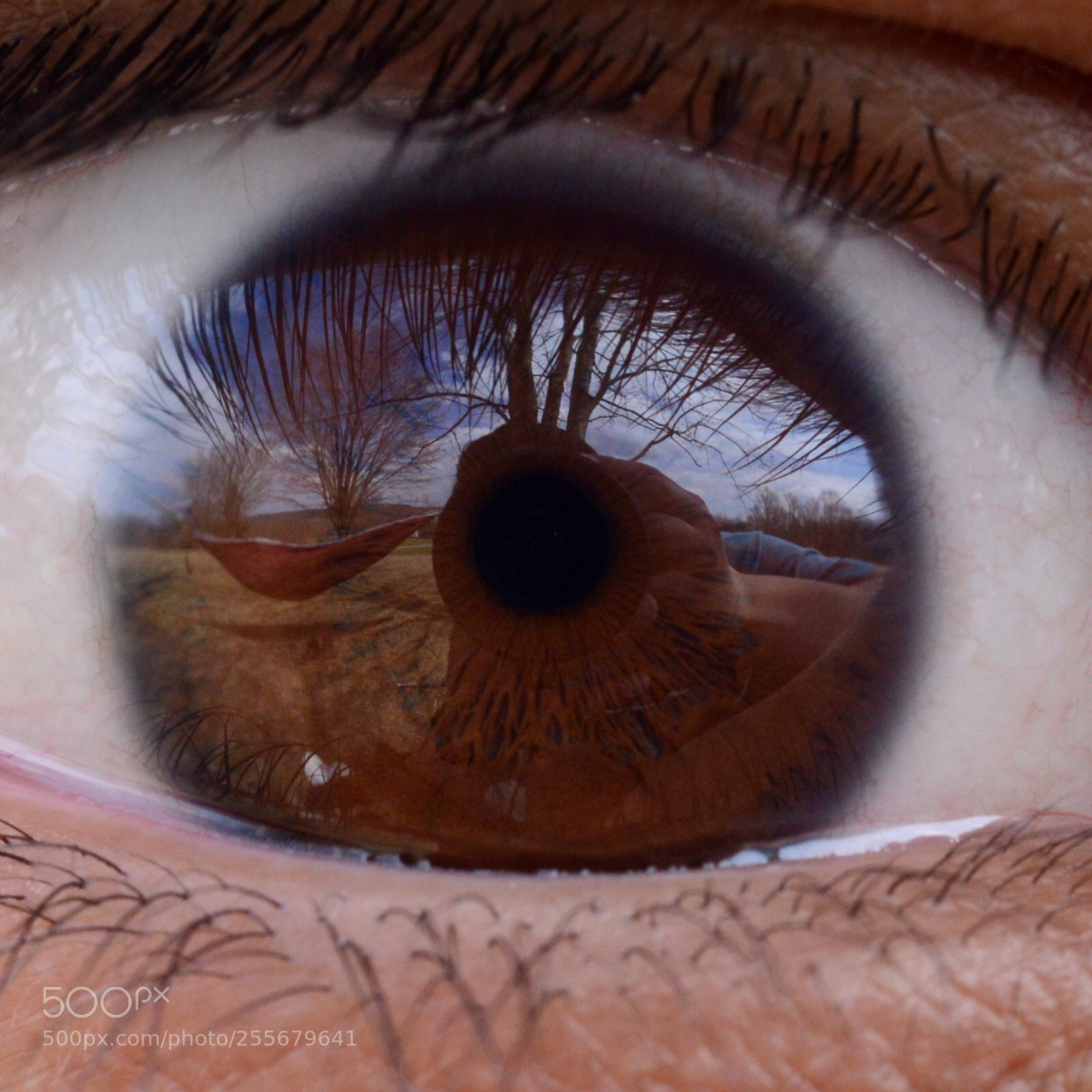 Nikon D600 sample photo. Untitled photography