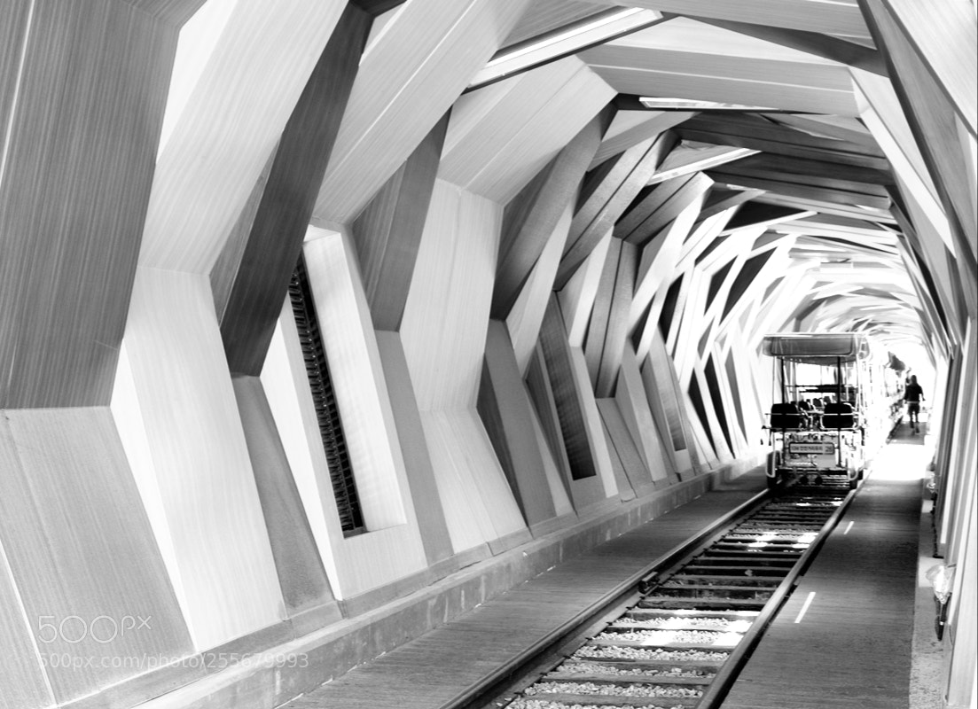 Canon EOS 80D sample photo. Tunnel photography