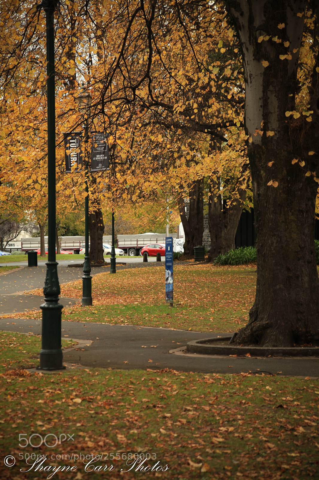 Canon EOS 5D Mark II sample photo. Autumn in dunedin, april 2018 photography