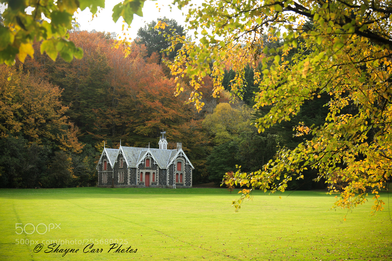 Canon EOS 5D Mark II sample photo. Autumn in dunedin, april 2018 photography