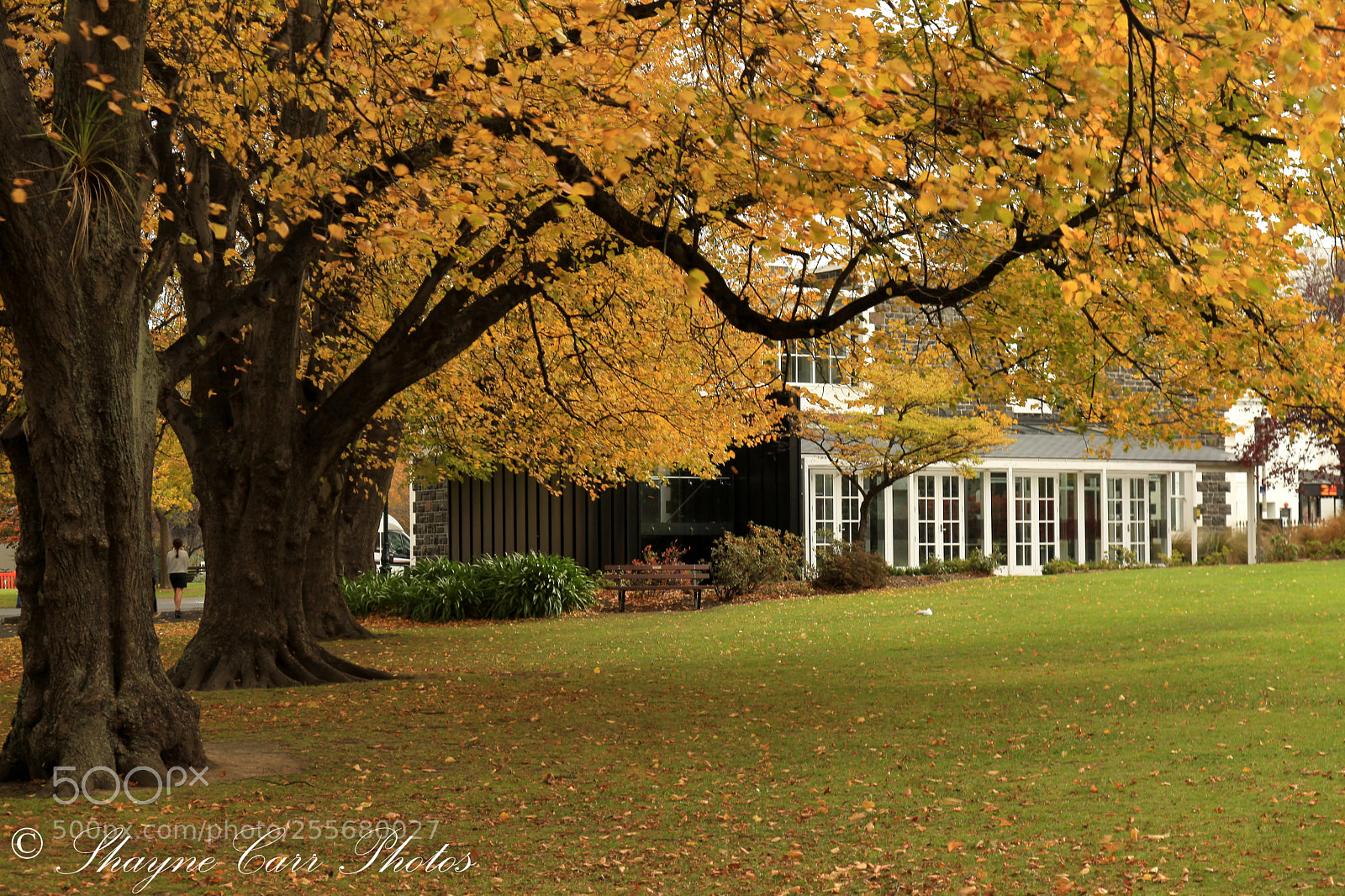 Canon EOS 5D Mark II sample photo. Autumn in dunedin, april 2018 photography