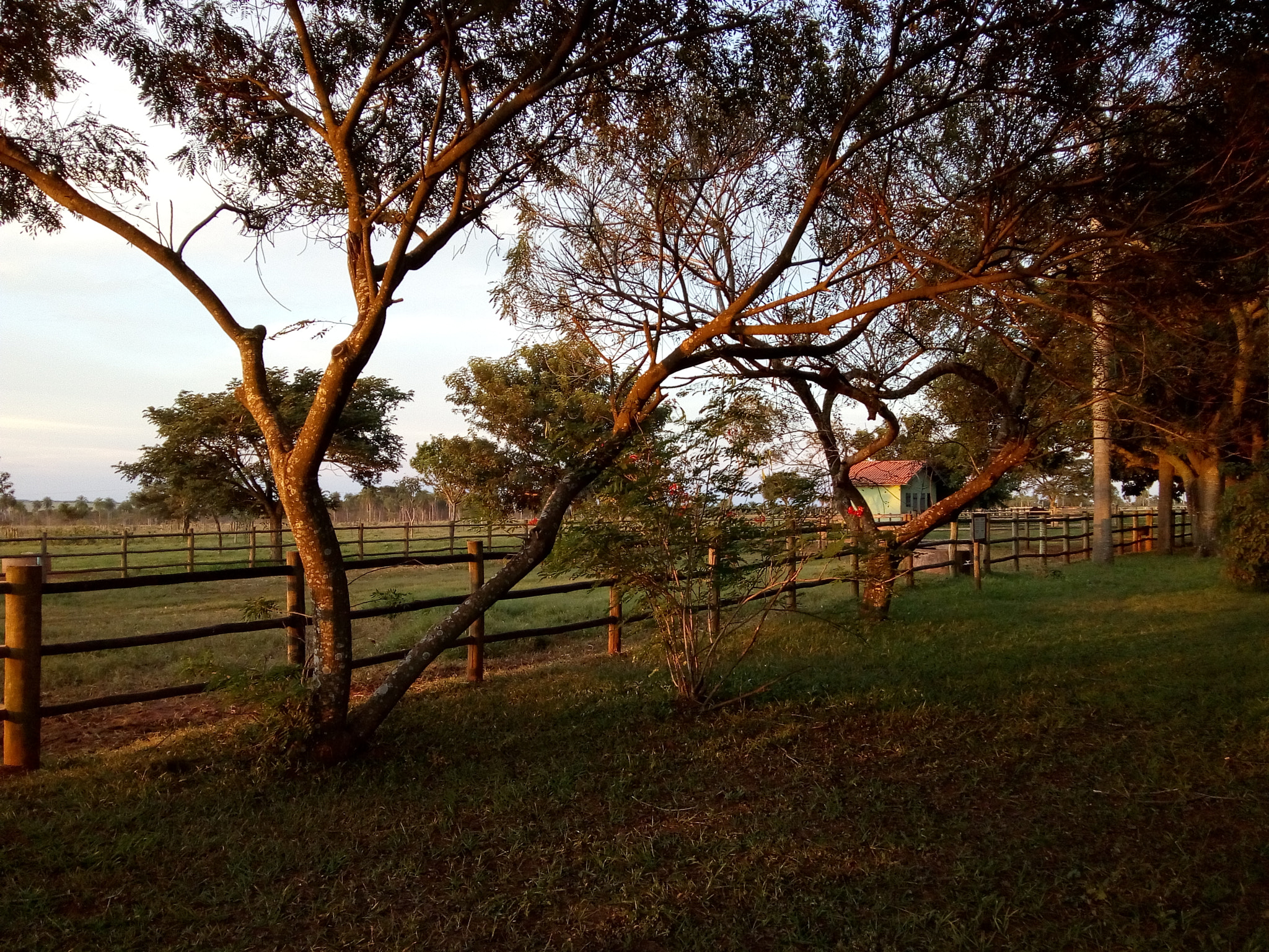 Motorola Moto C Plus sample photo
