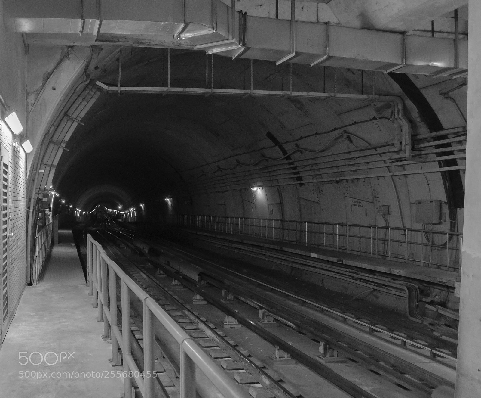 Nikon D5100 sample photo. Metro rj photography