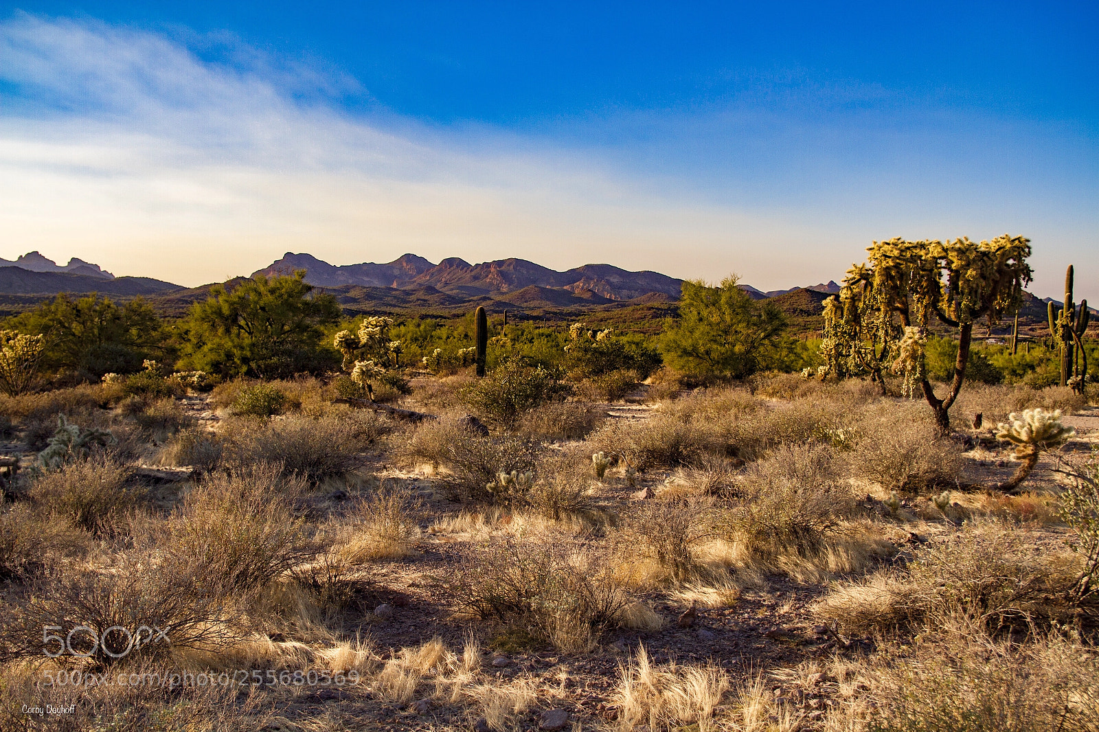 Canon EOS 7D sample photo. Desert vision photography