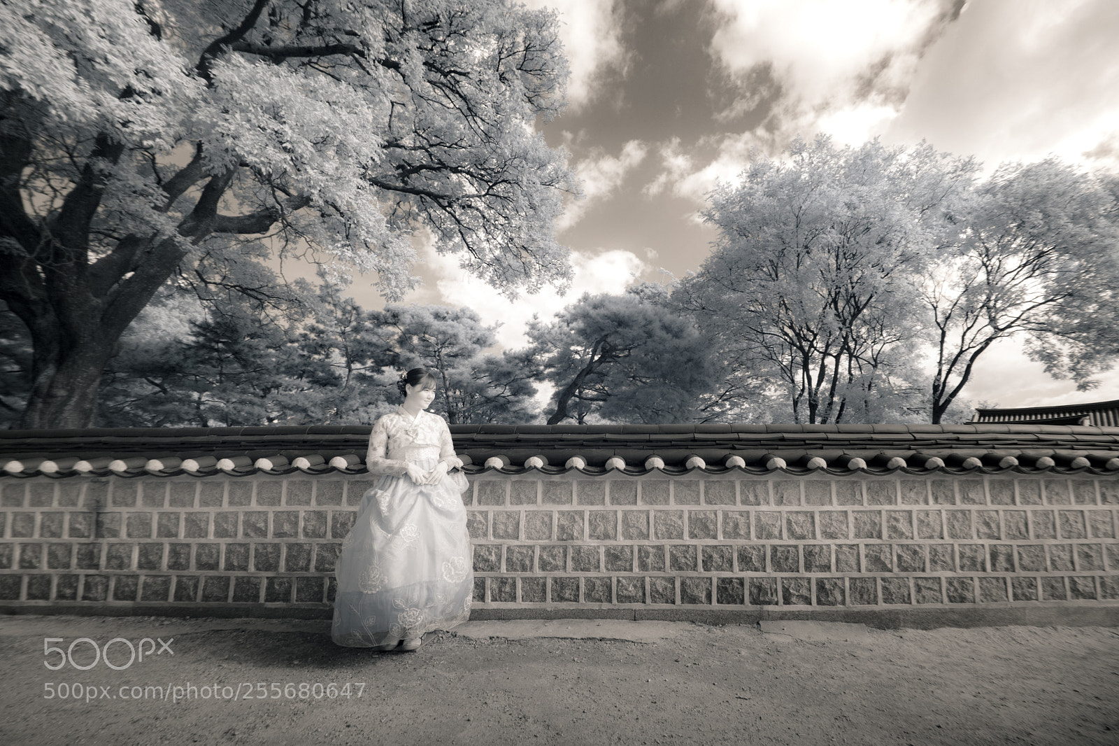 Sony Alpha NEX-7 sample photo. Jeonju photography