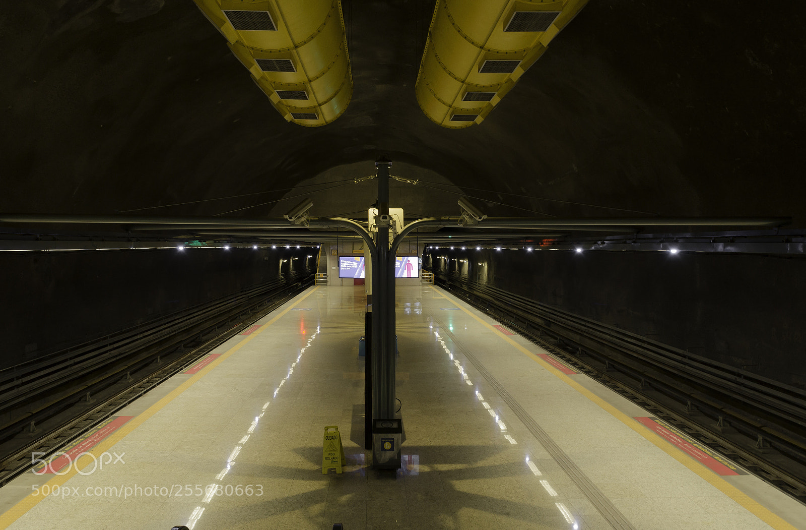 Nikon D5100 sample photo. Metro  rj photography