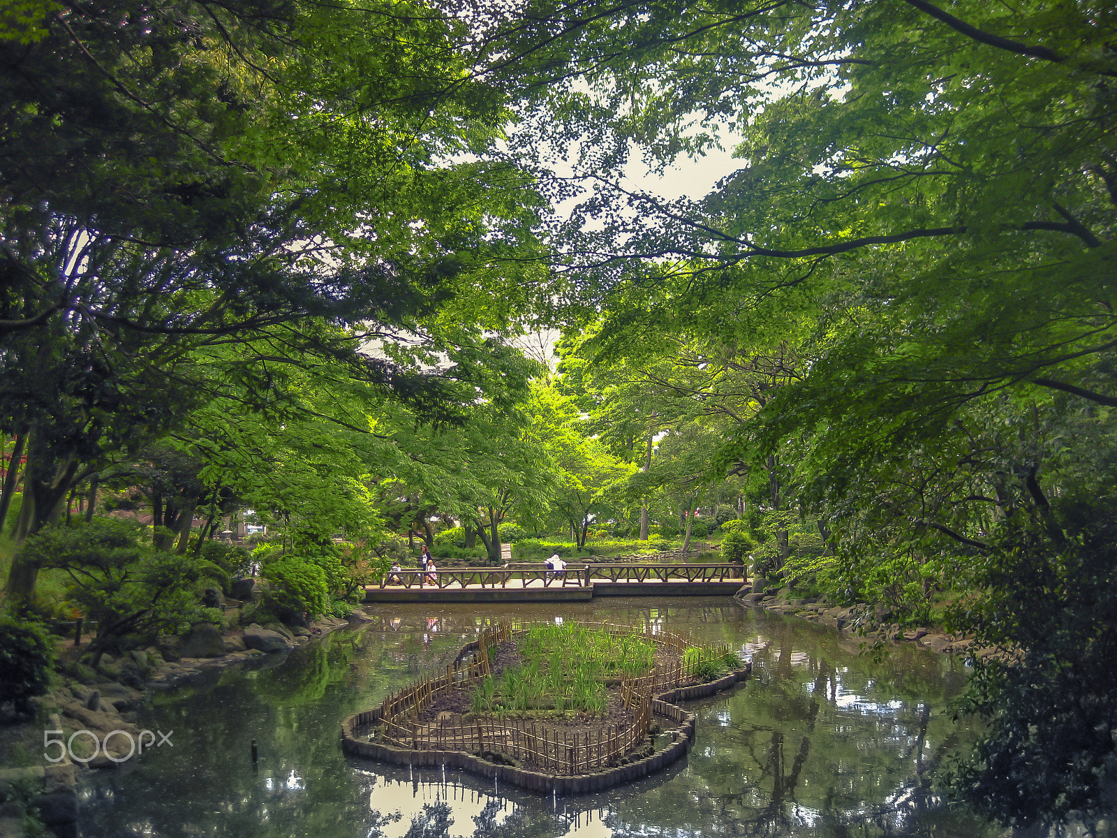Canon PowerShot SD770 IS (Digital IXUS 85 IS / IXY Digital 25 IS) sample photo. Tokyo garden magical pond photography
