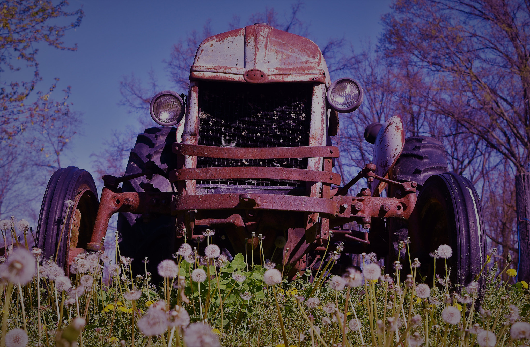 AF Zoom-Nikkor 28-80mm f/3.5-5.6D sample photo. Spring tractor photography