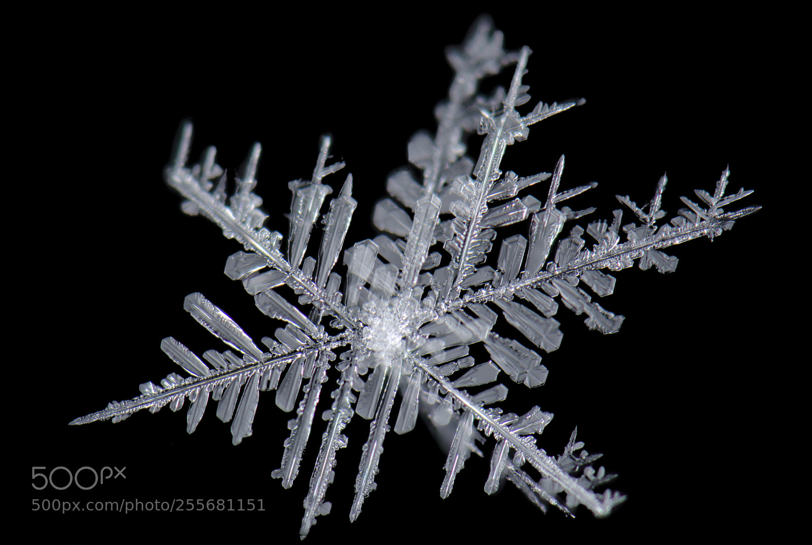 Nikon D7000 sample photo. April snow photography
