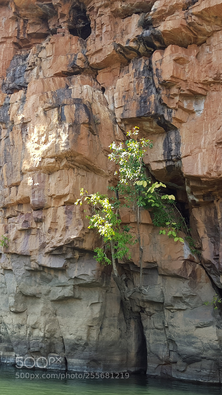 Samsung Galaxy S6 sample photo. Catherine gorge nt photography