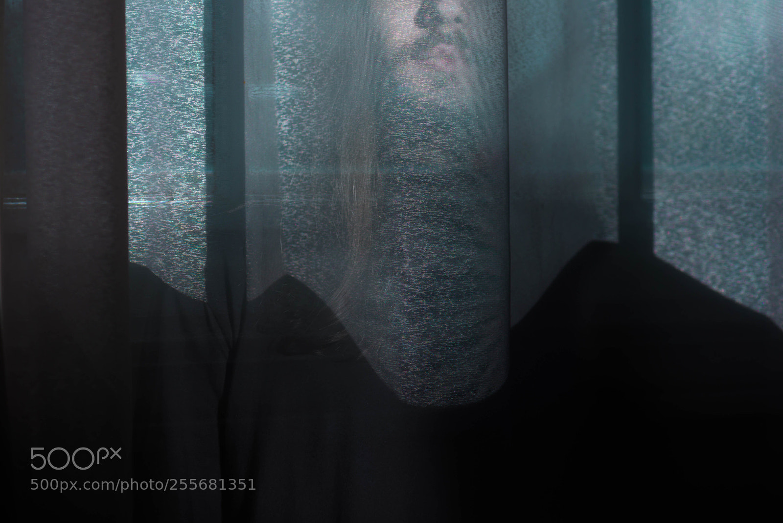 Nikon D600 sample photo. Untitled edit photography