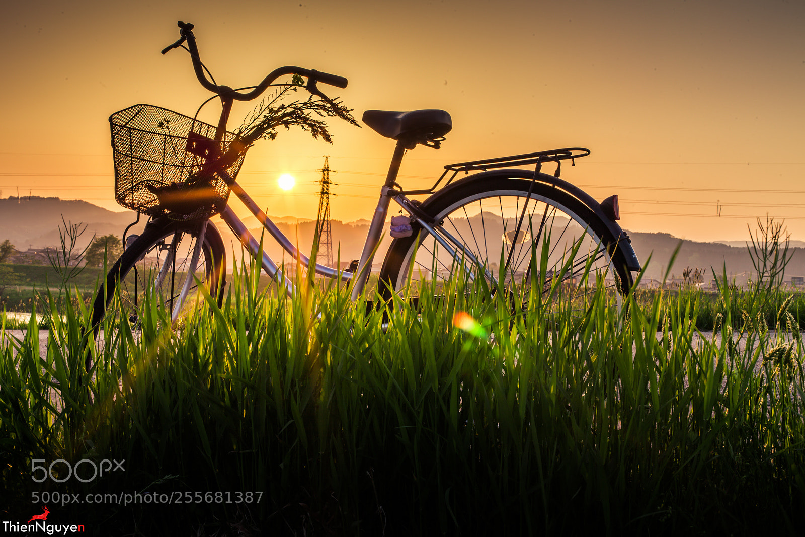 Canon EOS 5D Mark II sample photo. I love japan photography