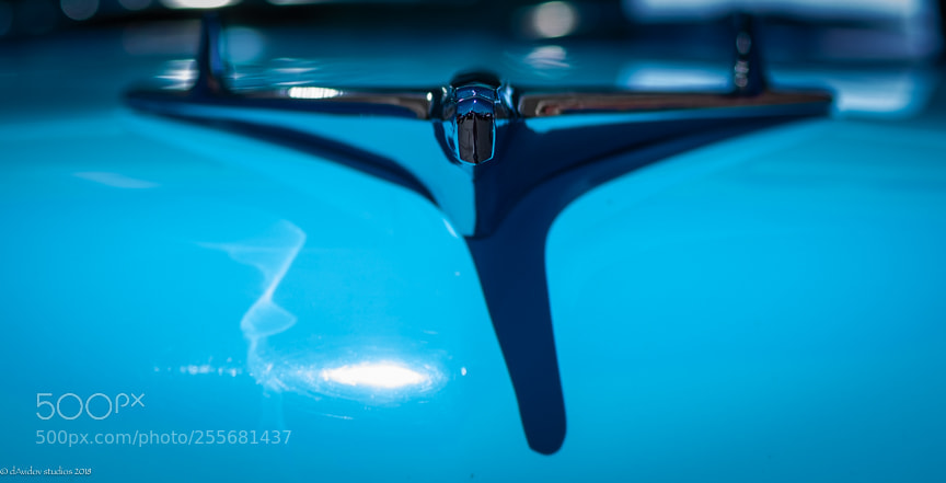 Fujifilm X-T20 sample photo. Dsf photography