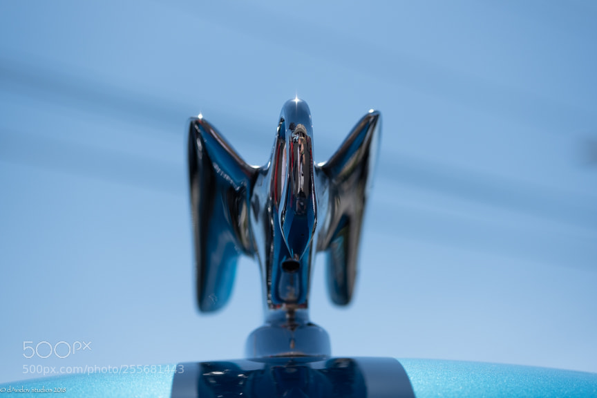 Fujifilm X-T20 sample photo. Dsf photography