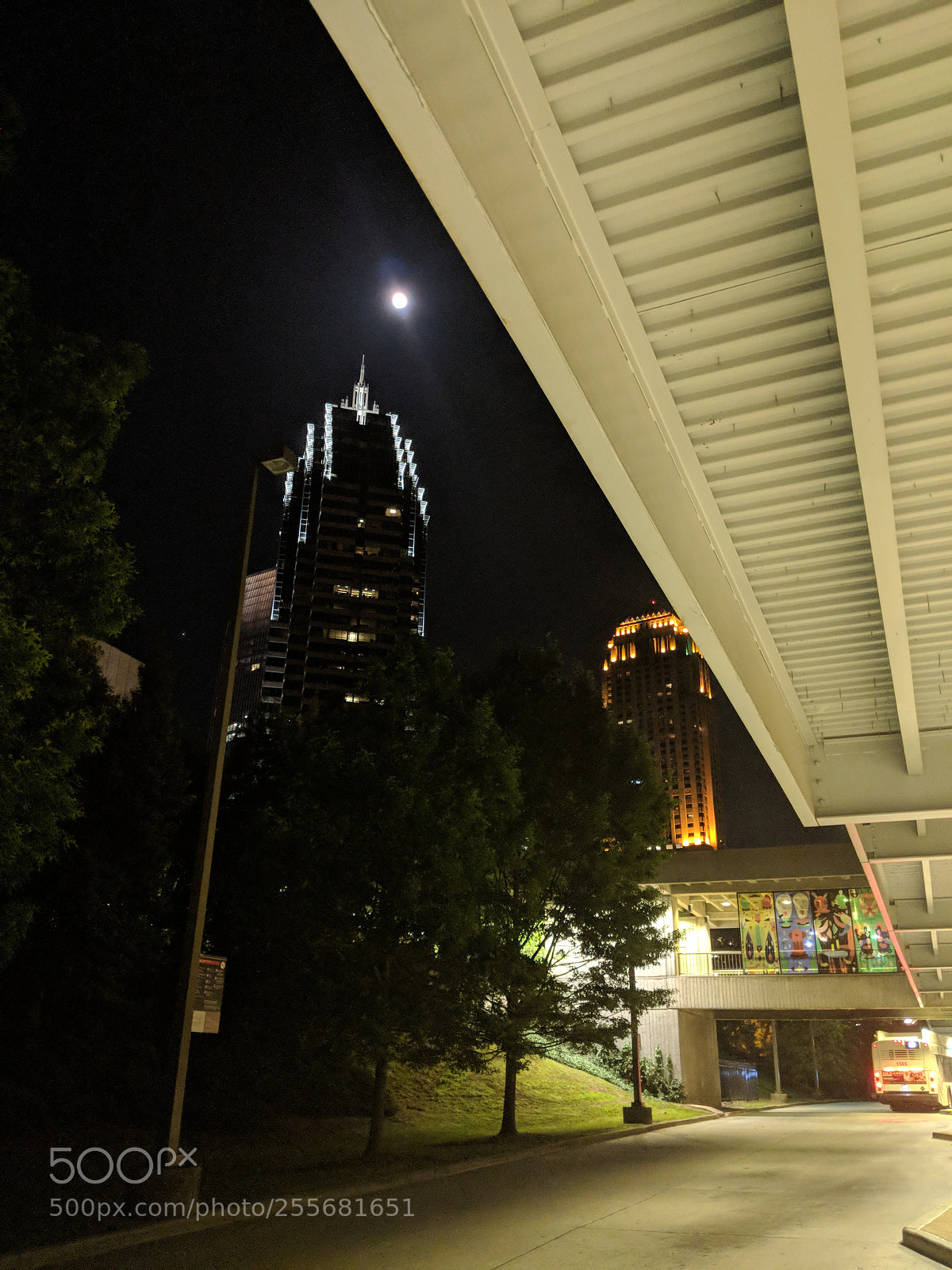 Google Pixel 2 XL sample photo. Untitled photography