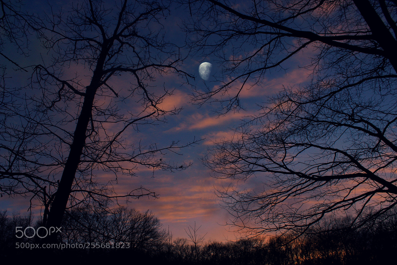Canon EOS 600D (Rebel EOS T3i / EOS Kiss X5) sample photo. Twilight photography