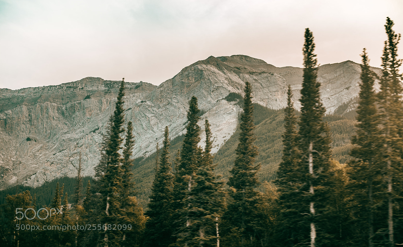 Canon EOS 6D sample photo. Canadian rockies photography