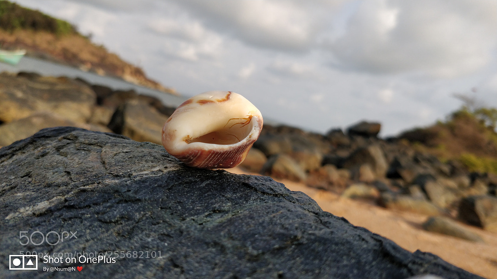 OnePlus 5 sample photo. Untitled photography