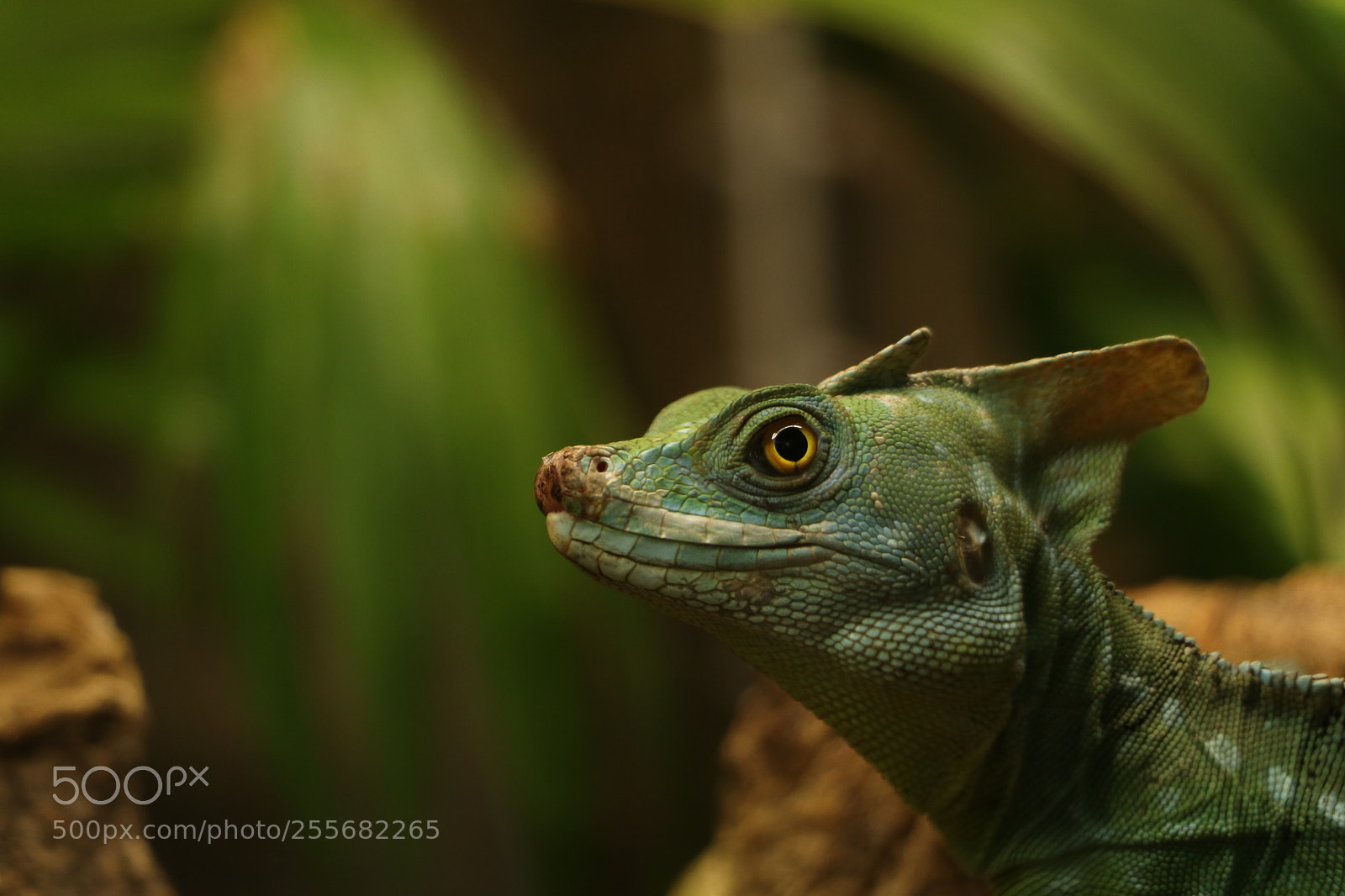 Canon EOS 80D sample photo. A look into the photography