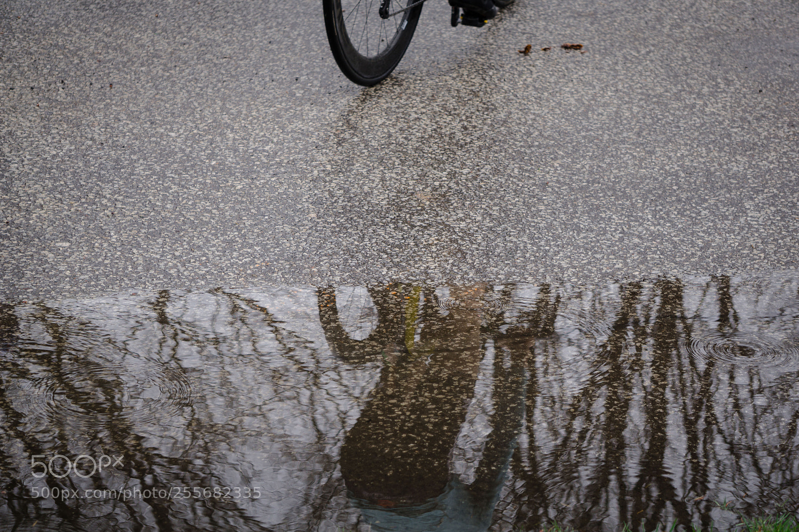 Sony a6000 sample photo. Dsc photography